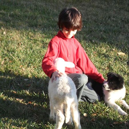 Il Gelso Nero Βίλα Castelnuovo di Farfa Εξωτερικό φωτογραφία