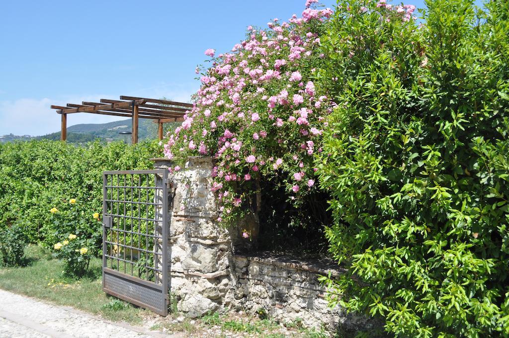 Il Gelso Nero Βίλα Castelnuovo di Farfa Εξωτερικό φωτογραφία
