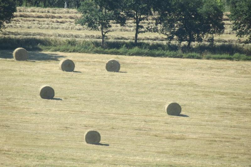 Il Gelso Nero Βίλα Castelnuovo di Farfa Εξωτερικό φωτογραφία